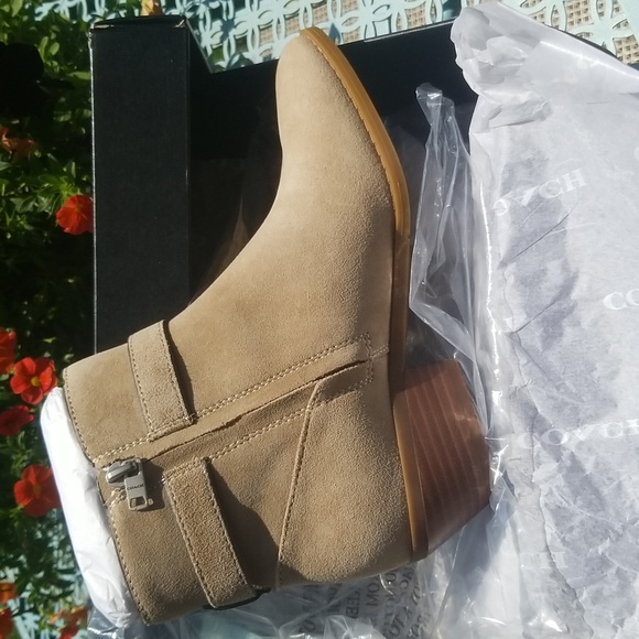 Coach Dylan Suede Ankle Boots(6) NWT - Picture 3 of 7
